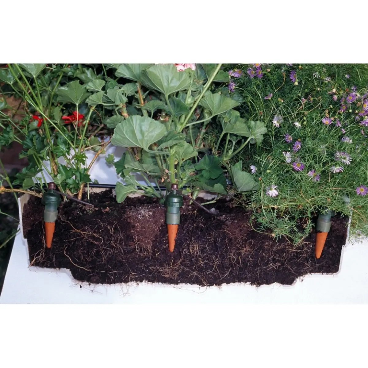 Blumat système d'irrigation et arrosage pour 40 plantes